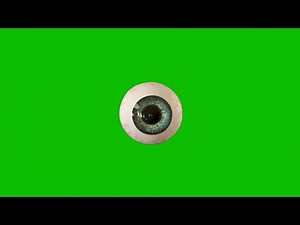 Human Eye 3D Animation Green Screen Effect HD video