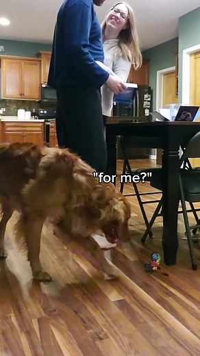 Even the dog got excited for this gift 🐶 🎁 #sendacake #birthday #celebration #aquarius