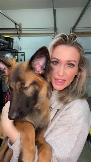 Essential Tips for Belgian Malinois Puppy Training