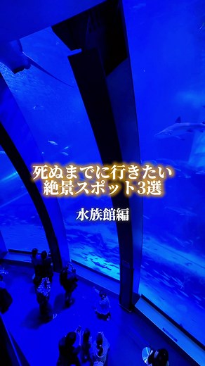 死ぬまでに行きたい水族館絶景スポット3選