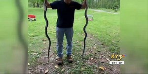 SURPRISE: Snake slithers into photographer's home, helps father teach children lesson on snakes
