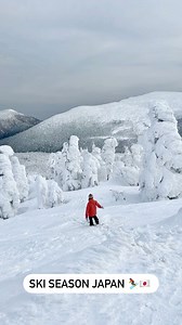 Japan has the best powder snow in the world ❄️ Japan’s powder snow is world-famous for its exceptional quality: dry, light, and fluffy. Popular ski regions include: ⛷️ Hokkaido, known for its popular resorts like Niseko, Furano, and Rusutsu. ⛷️ Nagano, home to Hakuba Valley, which includes a variety of ski resorts like Hakuba 47 and Happo-One. ⛷️ Tohoku which is less crowded and more traditional and Niigata, close to Tokyo, which is perfect for anyone seeking a quick trip from the city. The ski 