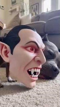 This Alien Tried to Scare the Dog 😆👽🐶