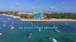 5.7K views · 44 shares | Come and visit us... We are waiting for you! | The Reef Coco Beach | Facebook