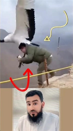 بعض الحوادث لا تحتاج قوةً قاتلة فقط لحظة خوف في المكان الخطأ😰😱#طاقة_إيجابية #survival #roblox