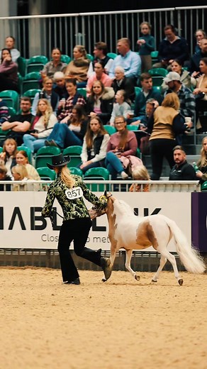 We are slowly on the countdown to London International but 2025 show season, you’ve been an absolute pleasure ❤️ I do not own right to the music. | Emma Armitage