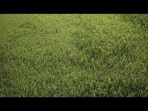 Realistic Grass Pack_ue4