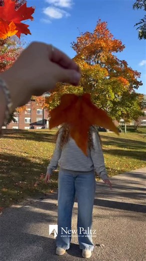 3.7K views | It’s time for the Fall Photo Contest 2025 at SUNY NEW...