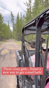 78K views · 3.1K reactions | Who wants a mud bath?!?! | Shepherding Outdoors | Facebook