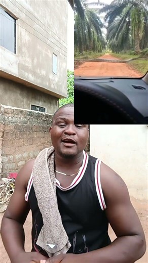 A motorist found a beautiful 25 ft long python in the bush moving freely.#ballpython #treepython.