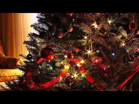 Monique Fauteux & Daniel Mercure ( Moonlight in Vermont )