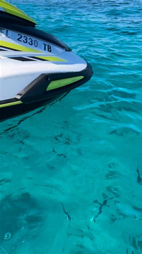 Old Conch Harbor in Tavernier, Florida hosts a variety activities to enjoy, including snorkeling and jet ski. @reefroamercat and @jsk_watersports at Hens and Chicks Reef today | Jsk Watersports