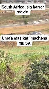 12K views · 62 reactions | Kurama nenyasha mu south africa crime yacho iri on other level #fblifestyle | Pauline P Mugomeri | Facebook