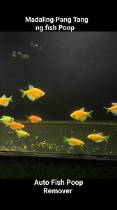 1K views · 7 comments | Paano mag Linis ng poop ng fish #fypシ゚ #aquariumlife #ideas #hobby #handmade #reelschallenge #diy #project #aquarium #aquariumhobby #wow #cleaning #vacuum #fish | Twin Scape | Facebook