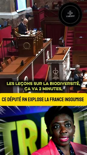 🔥 Ce député RN recadre sévèrement la France insoumise Face aux discours de LFI sur l’écologie, ce député RN met les choses au clair et démonte leurs contradictions, rappelant les réalités concrètes derrière les slogans. Un échange tendu qui ne laisse personne indifférent. #Politique #RN #LFI #Écologie #Débat | Le code de l’argent