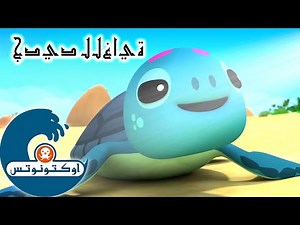 4 أوكتونوتس | صغار السلاحف البحرية | السلسلة 4 | الحلقة