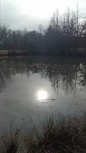 :):):) | Angie Kretzer