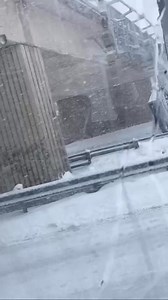 Overpass Hit On📍Hwy401 In London,ON . #hwy401 #london #onhwys #overpass #bridge #construction #trucking #trucksriver #heavyequipment #roadsafety #winter #snowstorm | 401_da_sarpanch