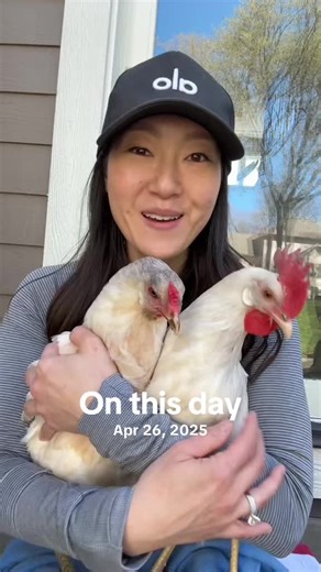 Chicken Breed Differences: Prairie Bluebell vs. California White