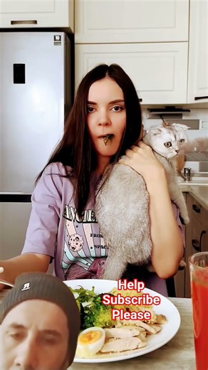 Help Subscribe please #cat #funny #comedy #art #cocomelon #cute #kitten #cutecat