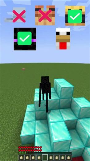 Who will cross the Diamond Bridge? 💎 #minecraft #gaming #brainrot #minecraftchicken