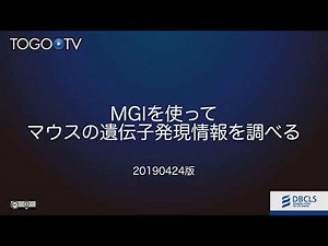 MGIを使ってマウスの遺伝子発現情報を調べる 2019