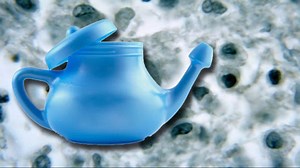 Doctors blame tap water in neti pot for brain-eating amoeba