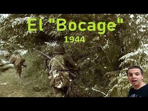 The "Bocage" 1944, the hell of the Norman hedges