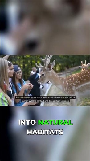 Beyond Pets: Surprising Causes of Zoonotic Diseases!