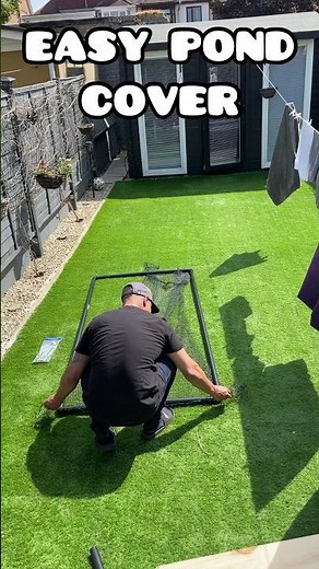 EASY NET PVC PIPE POND COVER #fancygoldfish #goldfishtank #goldfish #ranchugoldfish #pondbuild