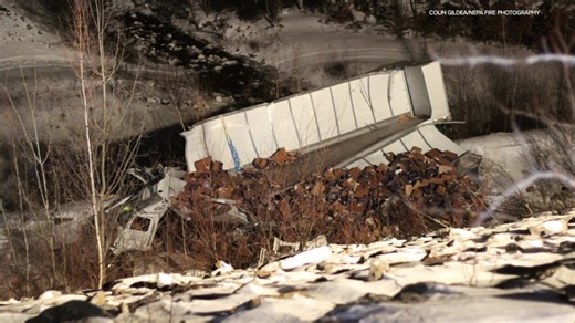 Truck filled with Chewy packages crashes