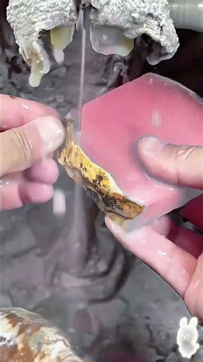 男子因痴迷翡翠，执意66万买下原石，一刀切开，世界安静了 #翡翠定制 #原石玉石 #翡翠手镯 #天然翡翠 #珠宝首饰 #玉石魅力 #以翠会友 #手镯定制 #翡翠 #翡翠手镯定制 #镯美人 #鐲美人