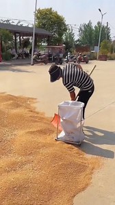 4.7K views | 350k xe đẩy lúa ngô đậu, đóng bao di chuyển tiện lợi. Hàng đẹp dày nặng, chắc chắn. | Bạn Của Nhà Nông 0983 859 355 | Facebook