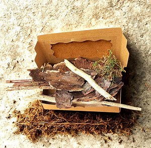 High-quality, Hand-picked Tree Bark From South Tyrol for Crafting and Decoration Purposes. - Etsy