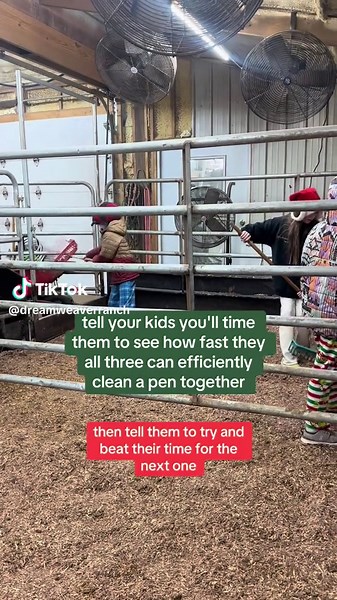 Efficient Cattle Pen Cleaning Challenge for Kids