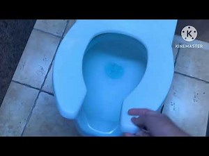 Rio ￼casino restroom reupload