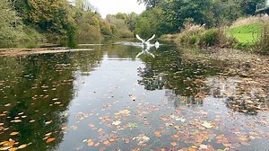 A leafy landing ❤️ | Into the Wild, Photography by Gary Saunders