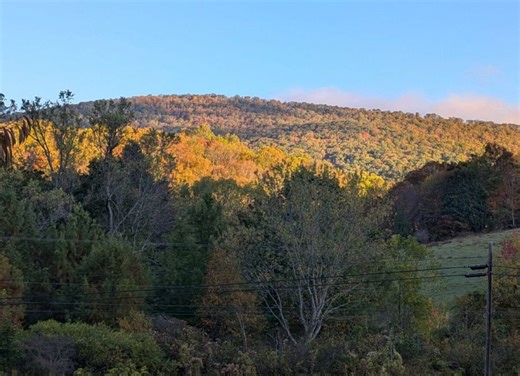 Virginia’s fourth fall foliage report of 2025 shows patchy, partial fall colors in most areas