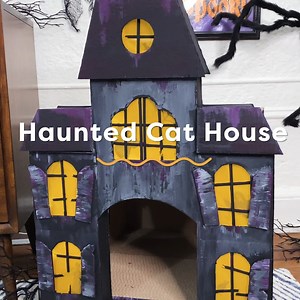 105K views · 1K reactions | It’s no secret cats are more interested in a cardboard box than what’s actually inside of it.  | HGTV Home | Facebook