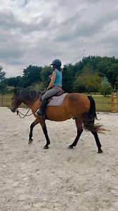 76K views · 1.8K reactions | ANDY TIPS Arrêter & reculer à cheval, sans les mains feat. Le King  @andy_booth_officiel #equitation #cheval #tips | PonyCorn le blog | Facebook