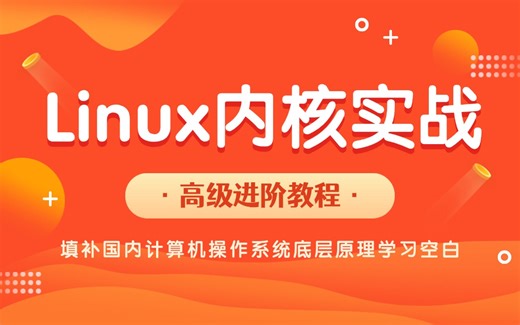 【全球独家硬核逆向开发教程】2025年终极Linux内核实战！P8大佬教你手把手写个64位多核操作系统+漏洞攻防技术全解析