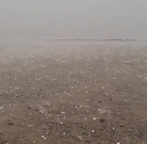 58K views · 2.1K reactions | Current weather in central region of Sharjah. Video via IG: storm_ae | My Dubai My City | Facebook