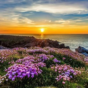 47K views · 2.8K reactions | Buongiorno alle persone semplici, genuine, autentiche, che non hanno bisogno di fingersi altro, né di imitare nessuno. Persone forti, che sanno di buono... come il caffè. M. Maiello | Un cuore a spasso Fanpage | Facebook