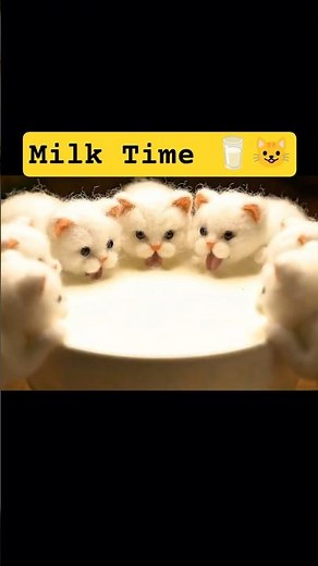 Cute Cat Drinking Milk 🥛🐱 | Adorable Animation Short