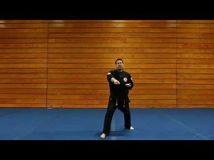Basic Form #1 - CSULA Tang Soo Do