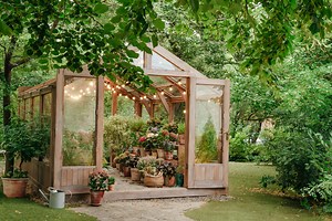 12 Best Greenhouse Ideas for Year-Round Gardening