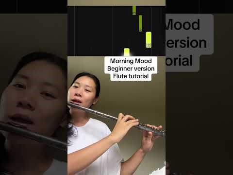 Morning Mood - Edvard Grieg (beginner version Flute Tutorial)