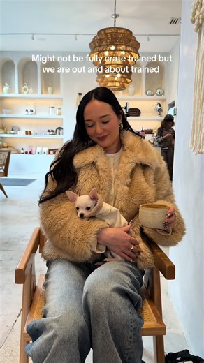 We’re working on the crate training but we’ve got coffee runs on lock 😂❣️☕️ #chihuahua #dogtiktok #puppy