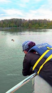 Het moment waarop een moederotter herenigd wordt met haar baby brengt iedereen tot tranen ❤️ | Newsner Nederlands