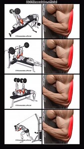 61K views · 9.4K reactions | ✅ How to Build Bigger Triceps ① Decline Triceps Extension ② Larsen Close Grip Press ③ Tate Press ④ Cable Overhead Extension 3 sets 12-15 reps | Fitnesslabo | Facebook